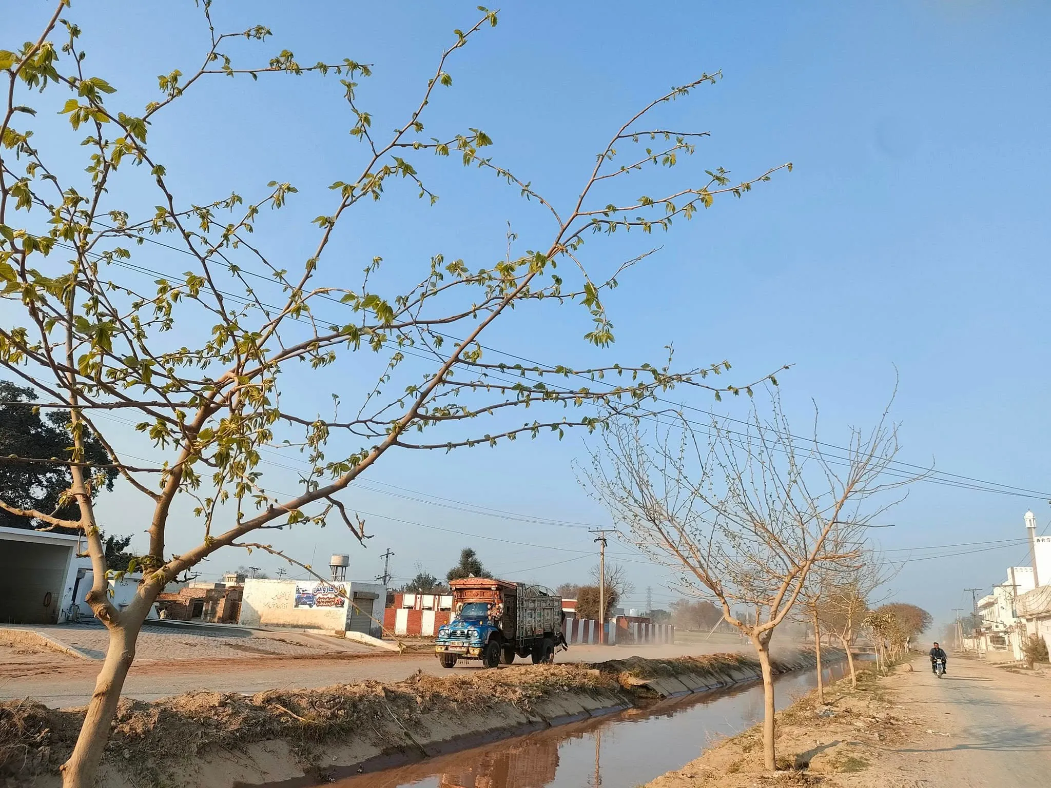 Green Seekers Activity